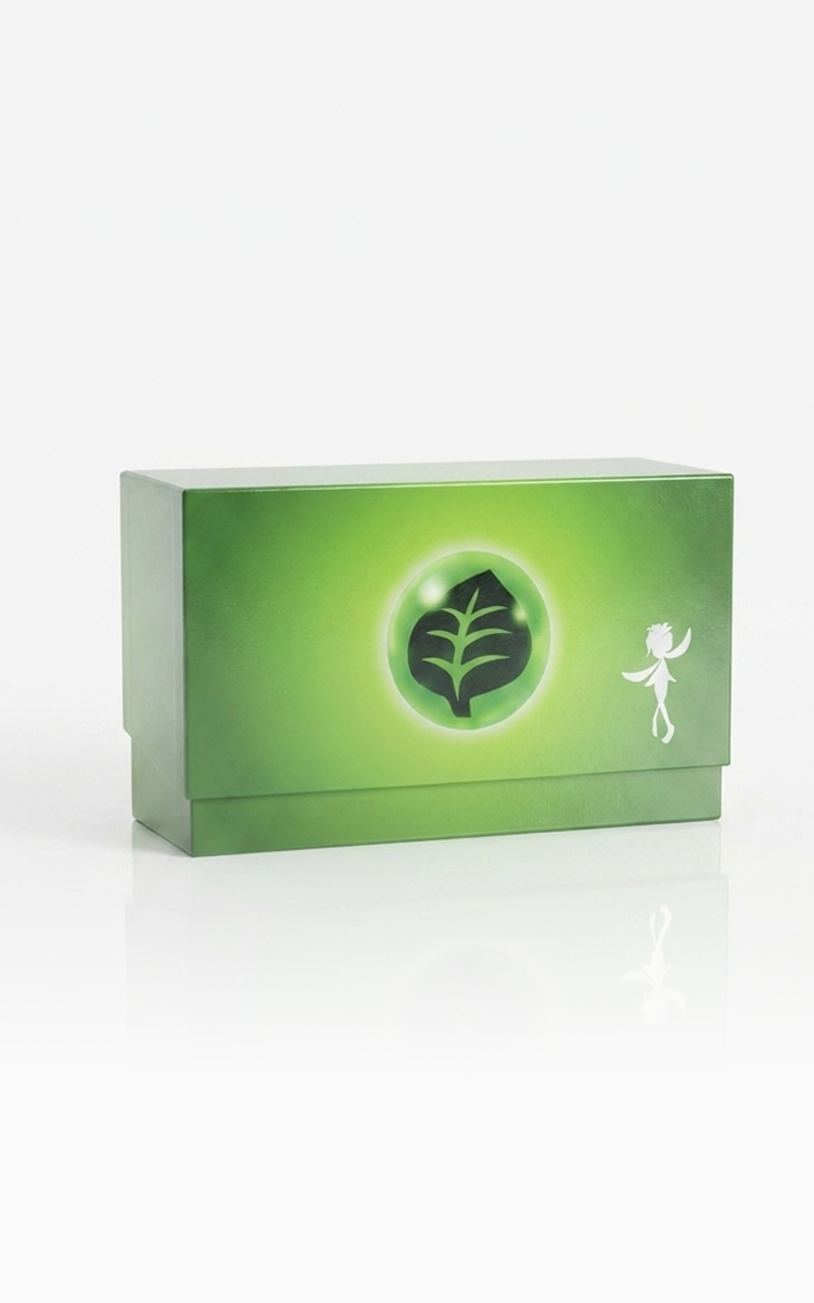 Pokémon Çince Energy Gift Box · Grass (Çimen)